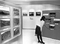 新予算案一般会計 １４０億３千万円 ほか (2000年2月23日号)