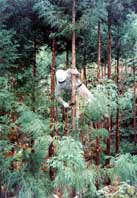 蒲生町・推進の空港周辺４地区 ほか (2000年9月3日号)