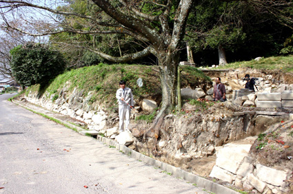 20年間の発掘整備調査の成果