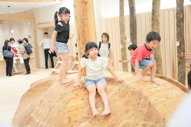 木に触れ、木を感じ、木の大切さを学ぶ「しが木育」拠点施設「しがモック」