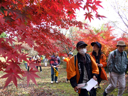 五感で味わう自然と歴史「街角タウンウォッチング」