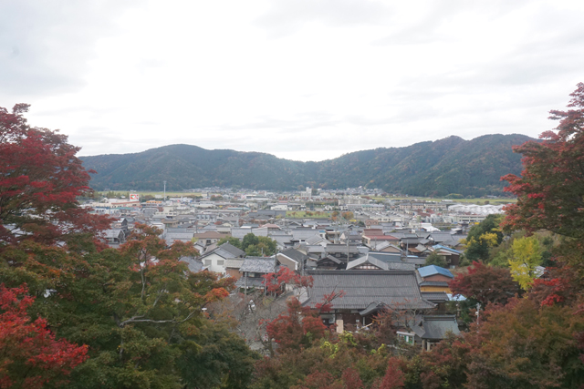 NHK大河ドラマ「豊臣兄弟！」放映契機