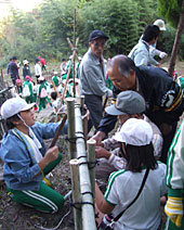 能登川南小の森林再生プロジェクト