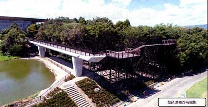 「樹冠トレイル」への寄付金募集