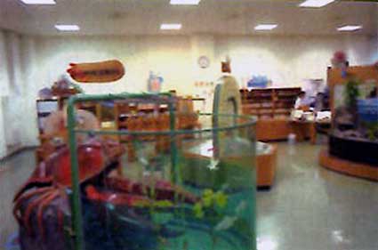 琵琶湖博物館のディスカバリールーム