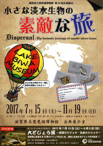 県立琵琶湖博物館企画展「小さな淡水生物の素敵な旅」