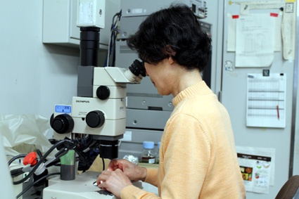 琵琶湖博物館フィールドレポーターの前田雅子さんら