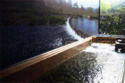 琵琶湖博物館 定置漁具の「ヤナ」設置