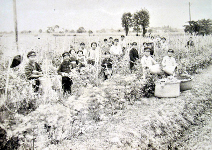 栗東歴史民俗博物館「平和のいしずえ」展