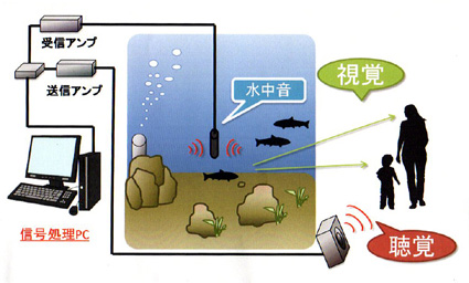 リニューアルオープンの琵琶湖博物館で