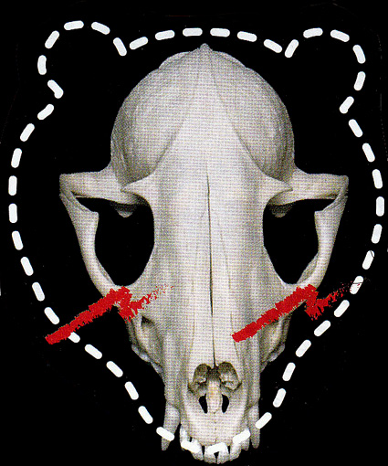 琵琶湖博物館で