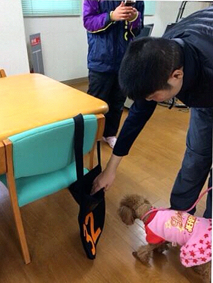 障害者組織で国内初　聴導犬訓練事業の準備進める