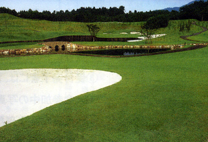 こうかクロスカントリー　21日まで参加募集中