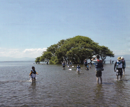 琵琶湖博物館で26日から