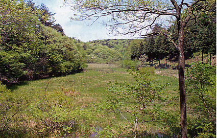 琵琶湖博物館“はしかけグループ”