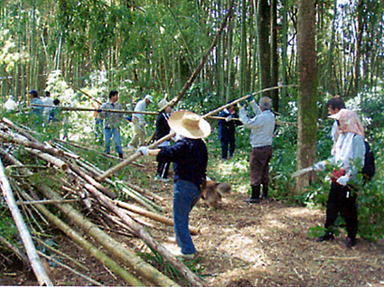 「竹との戦い！」展