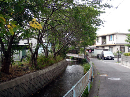 改修でホタルが乱舞する川へ 守山市の中心市街地で着工