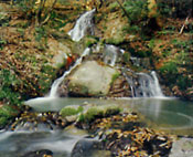 のんびり草津線 観光フォトコン