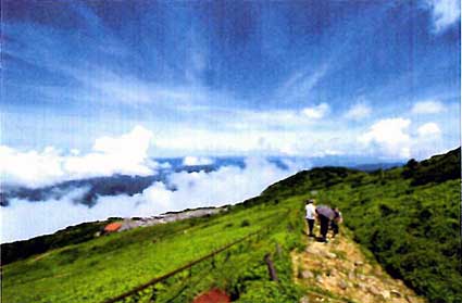 日本百名山の一つ、伊吹山