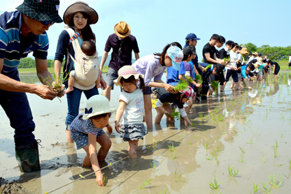 米原市で“巨木・名木”巡り