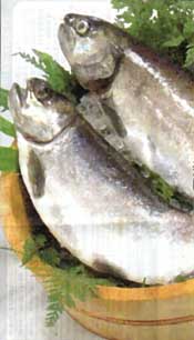 振興協議会が2月29日まで「びわサーモンフェア」