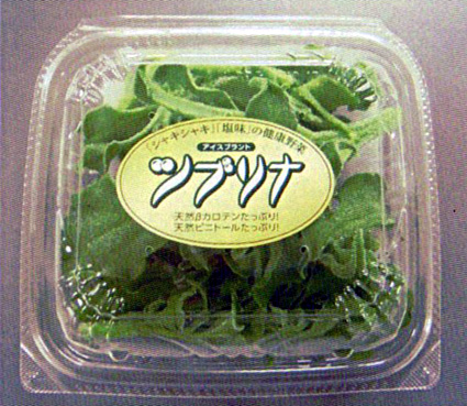 日本アドバンストアグリ