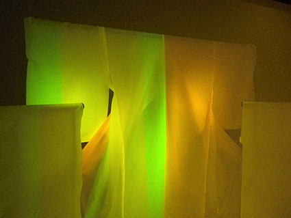 国内初 蛍光色に光る浜ちりめん