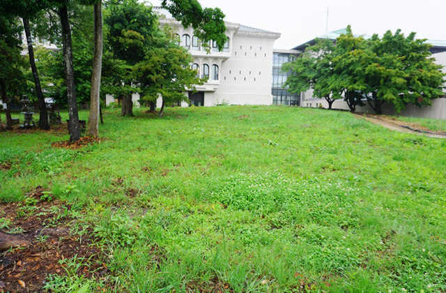 「出来レース」と不信の声