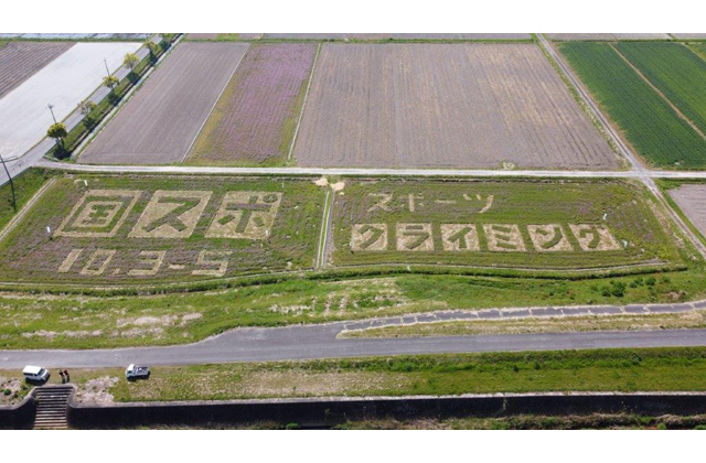 竜王町の鵜川自治会有志が作製 国スポ・障スポ田んぼアート