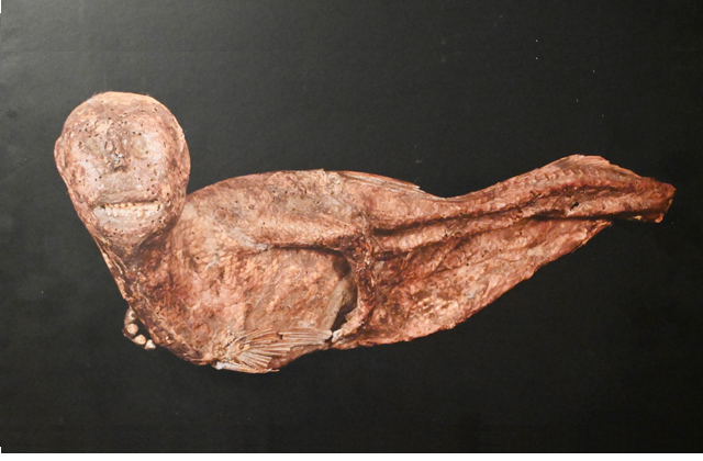 観音正寺で特別展 聖徳太子と人魚伝説