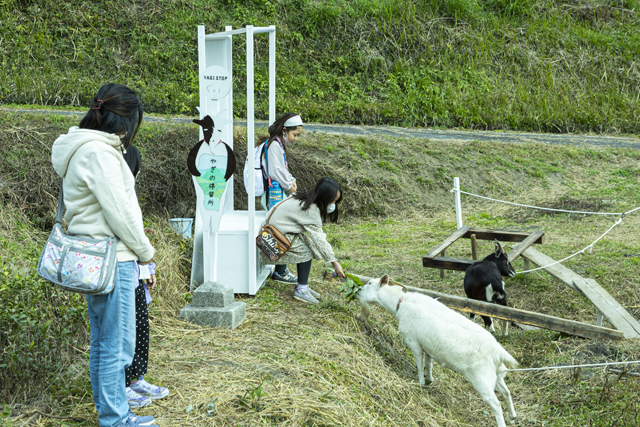 2025地域おこし協力隊の今!（5）