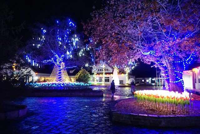 滋賀農業公園ブルーメの丘 ライトアップガーデン2024