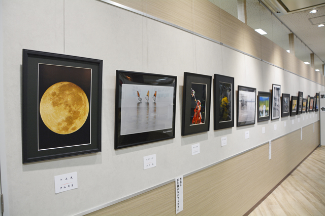 感性光る1枚ずらり アピア4階で作品展