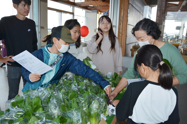 「チンゲンサイおいしいよ」能登川北小6年生が栽培・販売