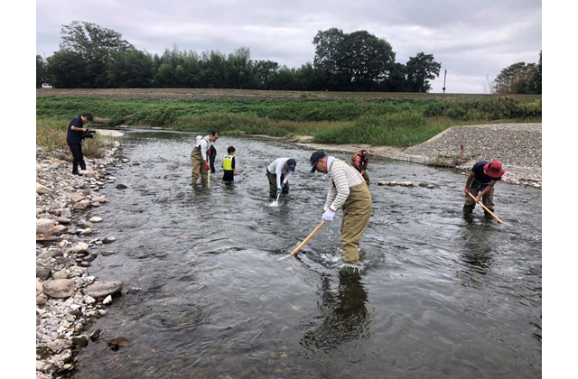 まちかど記者クラブ　鮎の産卵場所の環境整備活動