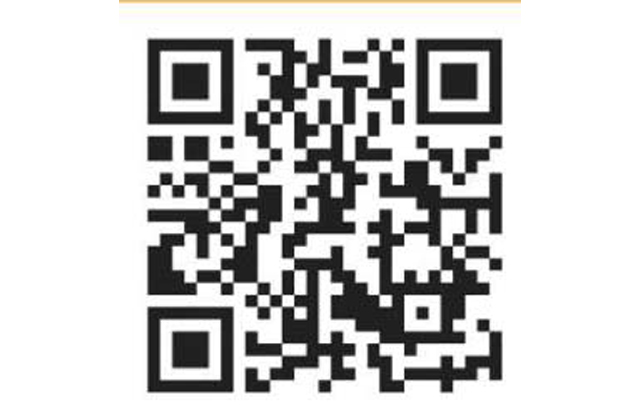 草花やキノコ　秋の植物観察会