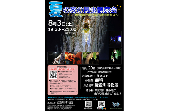 夏の夜の昆虫観察会