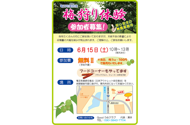 梅狩り体験実施 竜王町の女性グループ「Ｇｏｏｄうめクラブ」主催