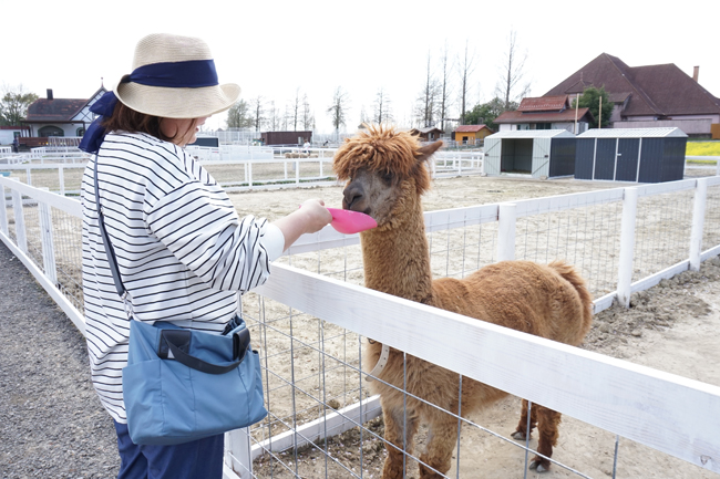 滋賀農業公園ブルーメの丘で