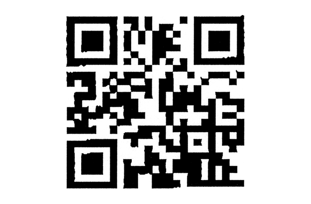 オーナー募集イモ掘り体験 秋に収穫