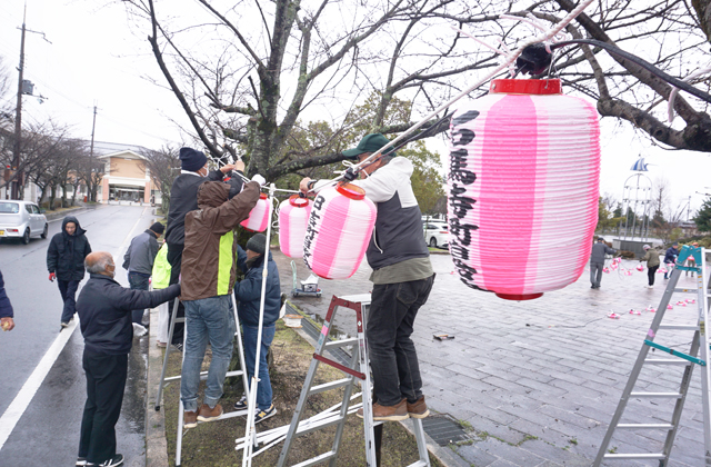 きょう23日からライトアップ