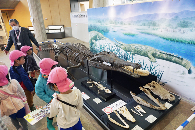 多賀町で見つかった化石など数百万年前のワニの化石一堂に