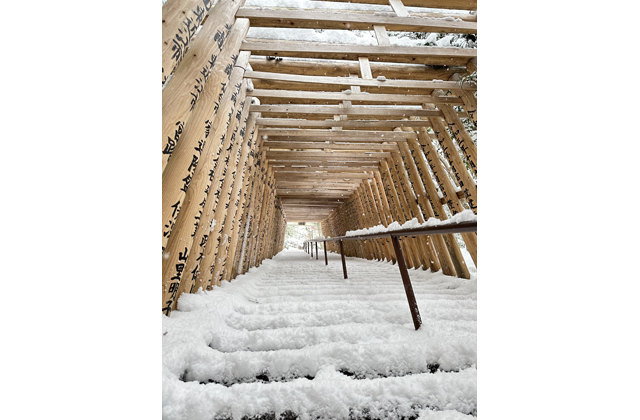 太郎坊に静かなひととき