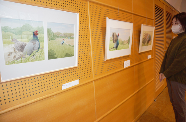 「となりの鳥」、愛情たっぷりの細密画