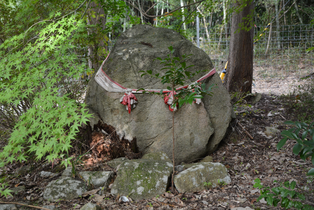 悠久の1400年　太子歴遊（40）