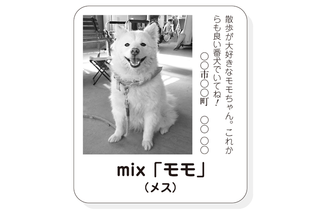 「わが家自慢のペット特集」2023年お正月新聞に掲載