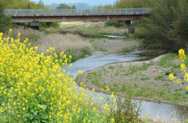 悠久の1400年 太子歴遊（１）