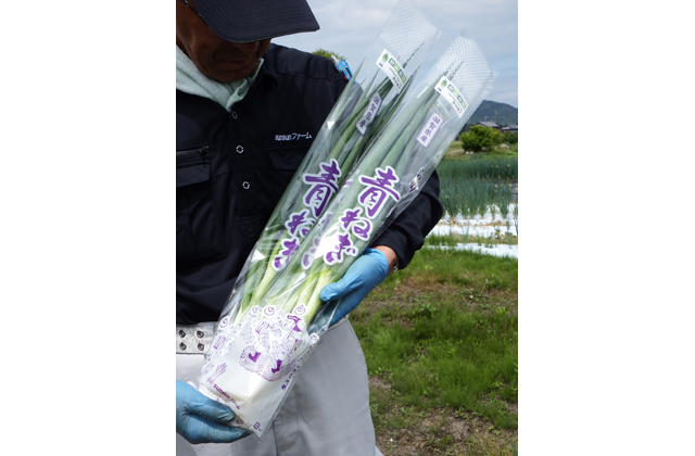 神田町発の新ブランド「江州みかべ青ねぎ」
