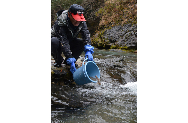 待望の渓流釣り解禁