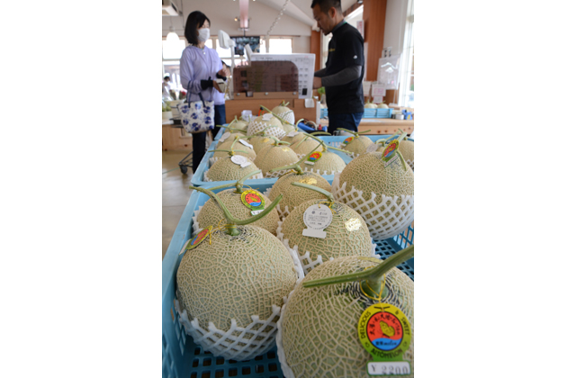 あすはメロンまつり　今年も大きく甘い